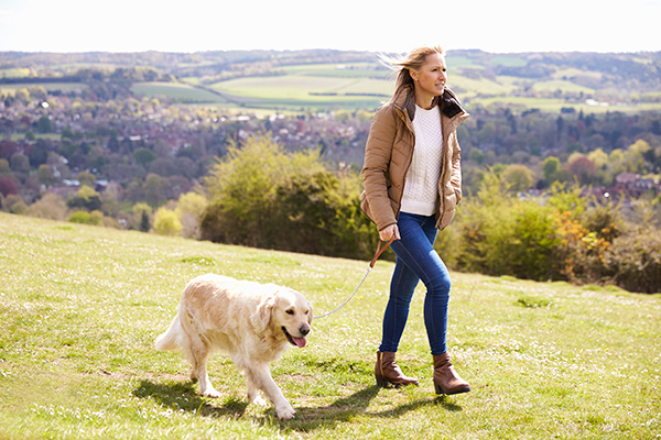 dog_walking
