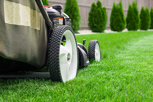 lawn_care
